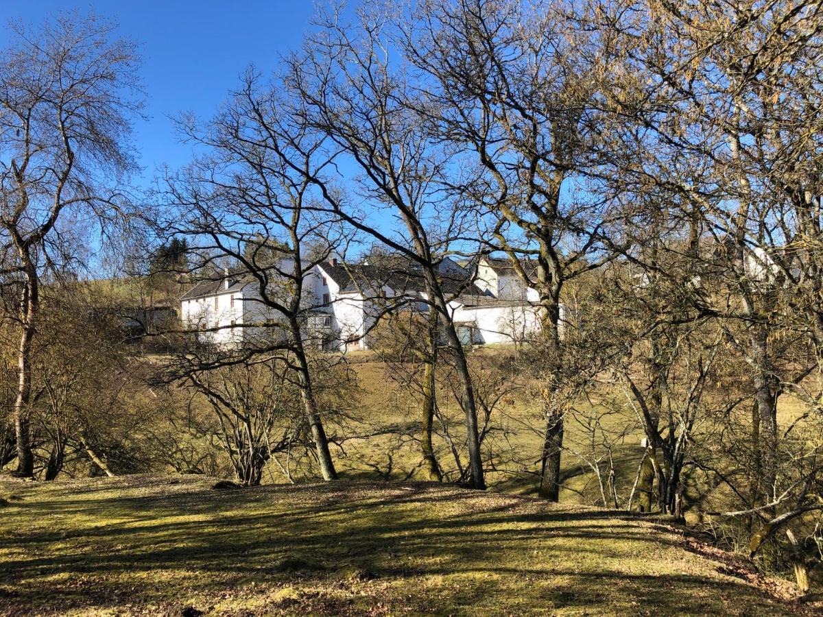 Ferienhaus Rehblick Rockeskyll Exterior photo